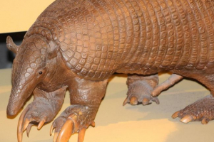 Niesamowite zwierzęta. Giant battleship Niesamowite zwierzęta. Giant battleship